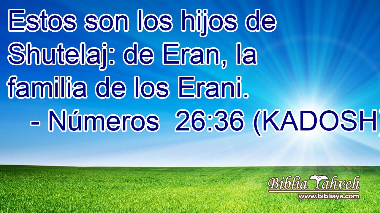  Estos son los hijos de Shutelaj: de Eran, la familia de los Erani. 