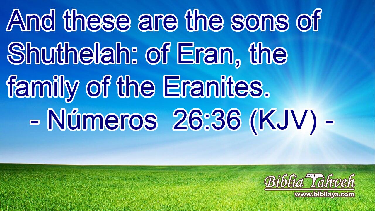 And these are the sons of Shuthelah: of Eran, the family of the Eranites.