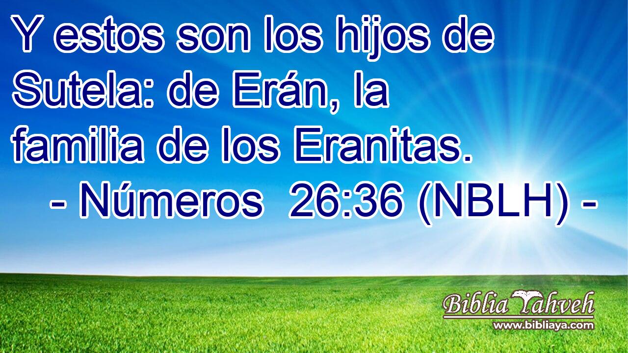  Y estos son los hijos de Sutela: de Erán, la familia de los Eranitas. 