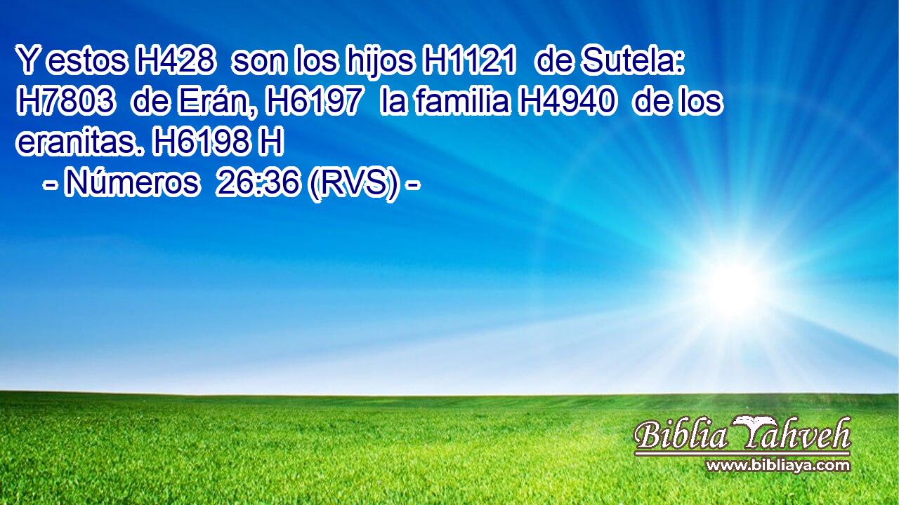 Y estos H428  son los hijos H1121  de Sutela: H7803  de Erán, H6197  la familia H4940  de los eranitas. H6198 H 