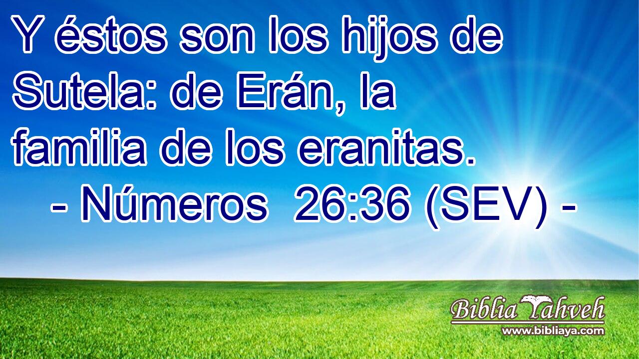 Y éstos son los hijos de Sutela: de Erán, la familia de los eranitas.