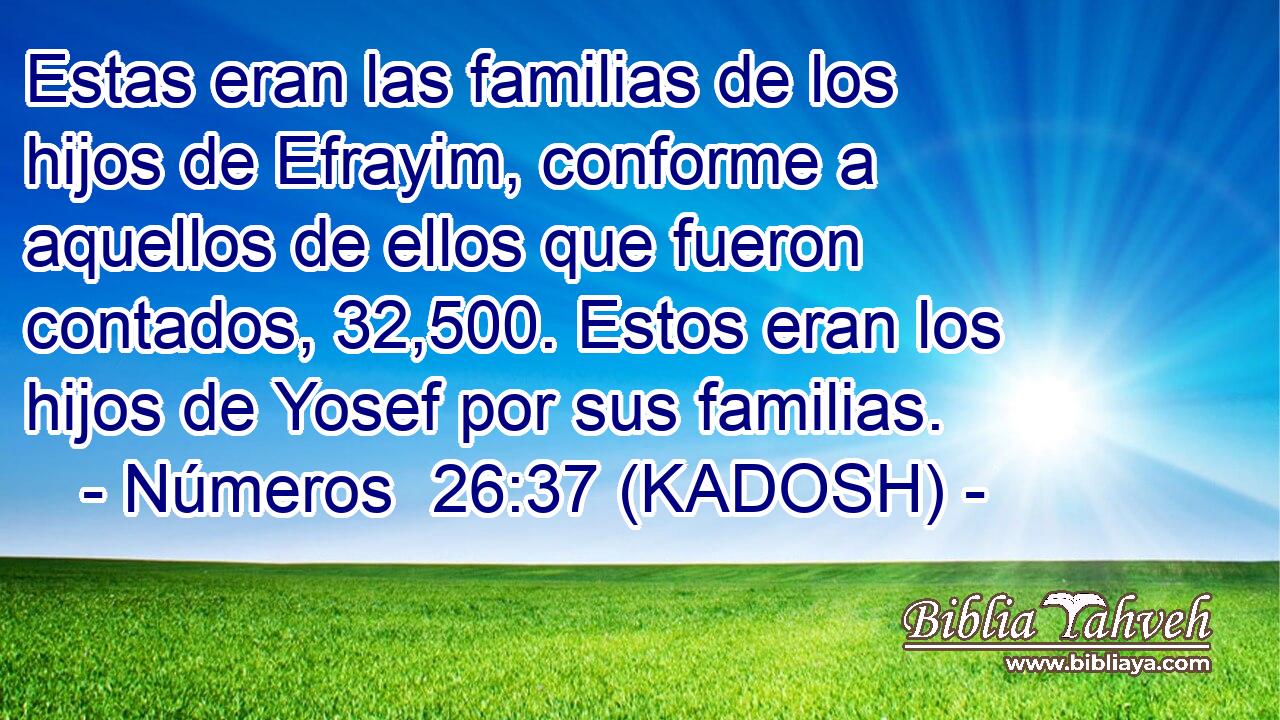  Estas eran las familias de los hijos de Efrayim, conforme a aquellos de ellos que fueron contados, 32,500. Estos eran los hijos de Yosef por sus familias. 