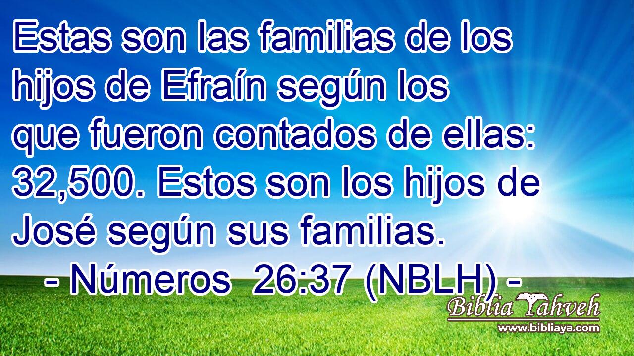  Estas son las familias de los hijos de Efraín según los que fueron contados de ellas: 32,500. Estos son los hijos de José según sus familias. 