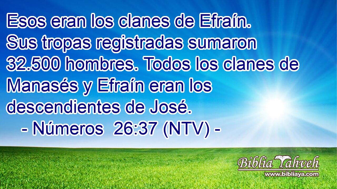 Esos eran los clanes de Efraín. Sus tropas registradas sumaron 32.500 hombres. Todos los clanes de Manasés y Efraín eran los descendientes de José.