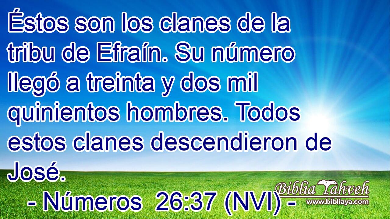  Éstos son los clanes de la tribu de Efraín. Su número llegó a treinta y dos mil quinientos hombres. Todos estos clanes descendieron de José. 