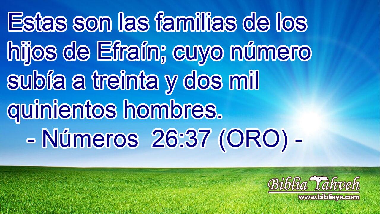  Estas son las familias de los hijos de Efraín; cuyo número subía a treinta y dos mil quinientos hombres. 