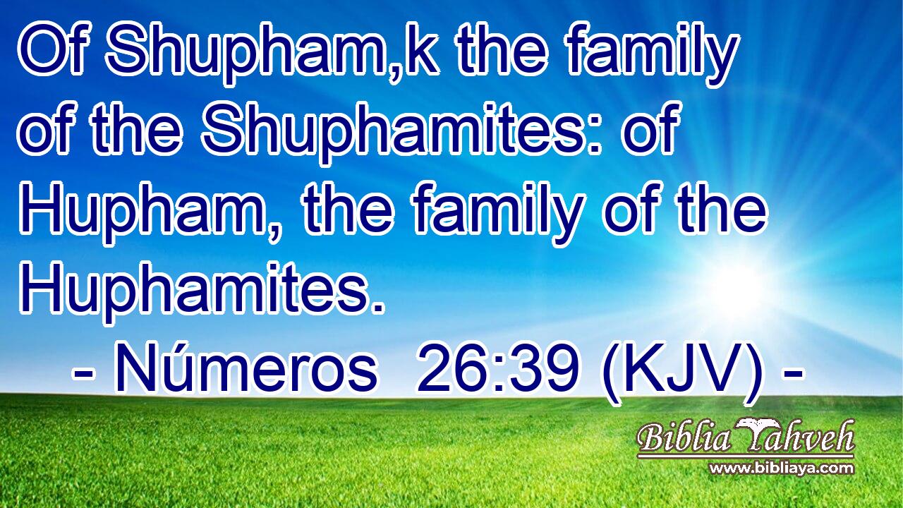 Of Shupham,k the family of the Shuphamites: of Hupham, the family of the Huphamites.