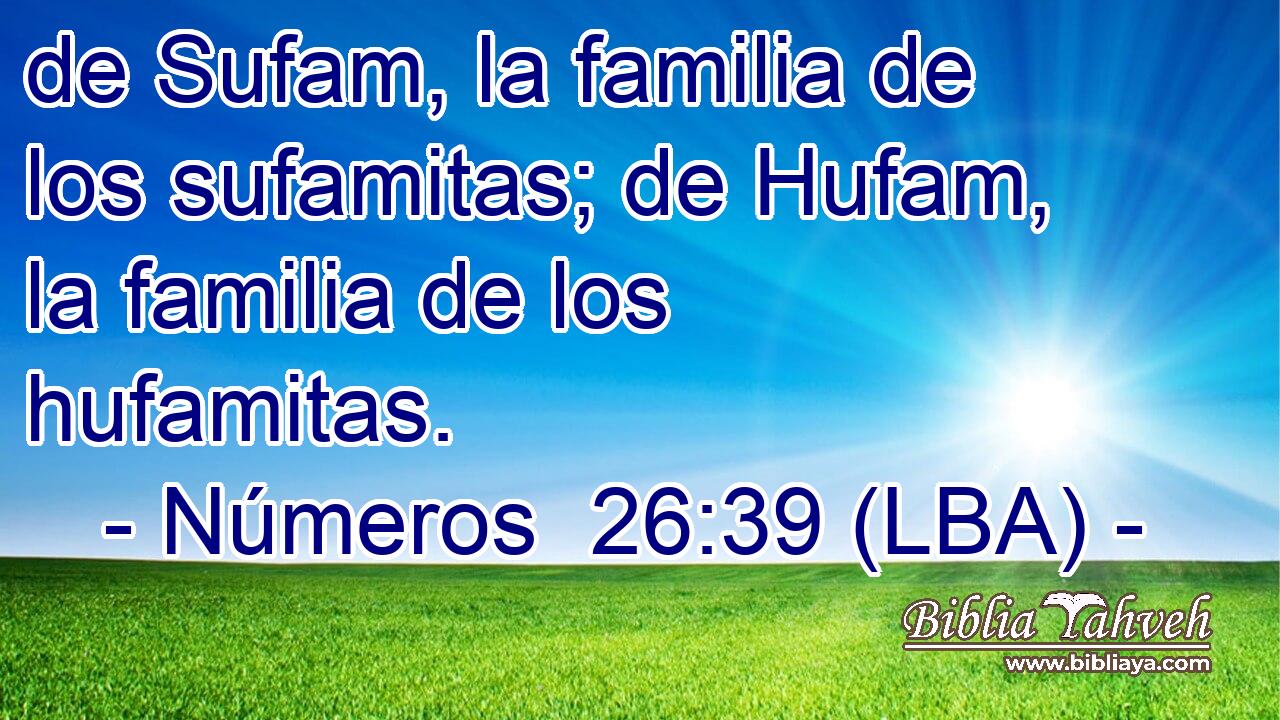 de Sufam, la familia de los sufamitas; de Hufam, la familia de los hufamitas.