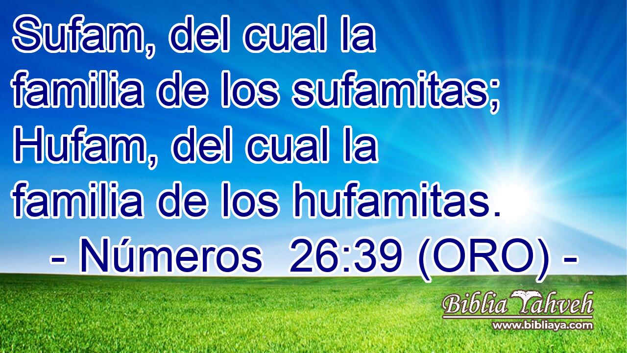  Sufam, del cual la familia de los sufamitas; Hufam, del cual la familia de los hufamitas. 
