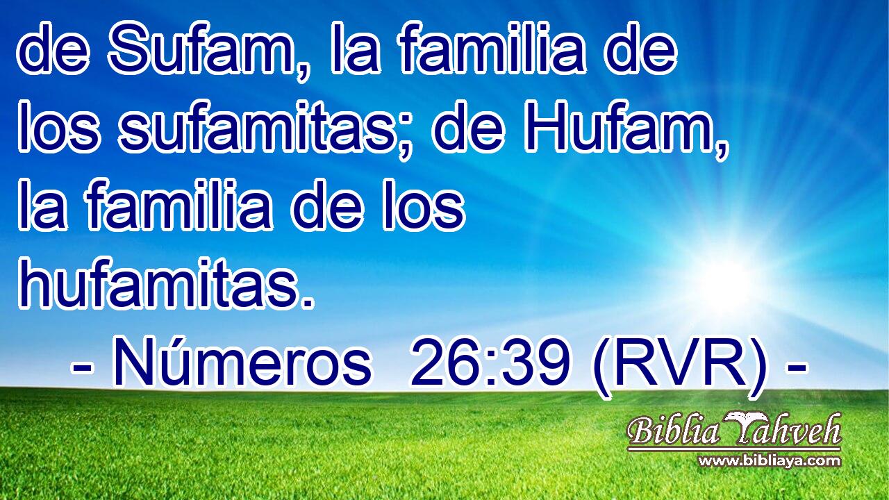 de Sufam, la familia de los sufamitas; de Hufam, la familia de los hufamitas.