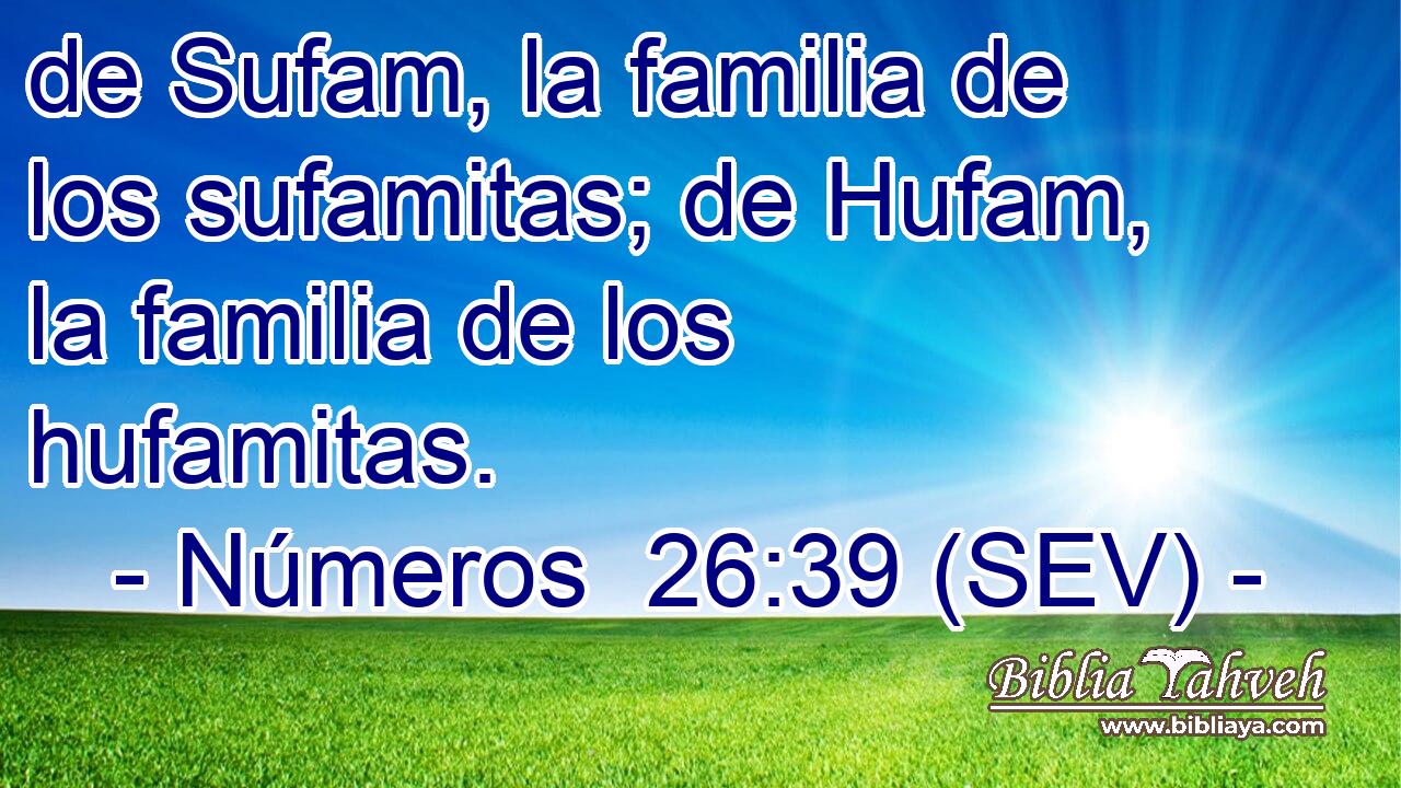 de Sufam, la familia de los sufamitas; de Hufam, la familia de los hufamitas.