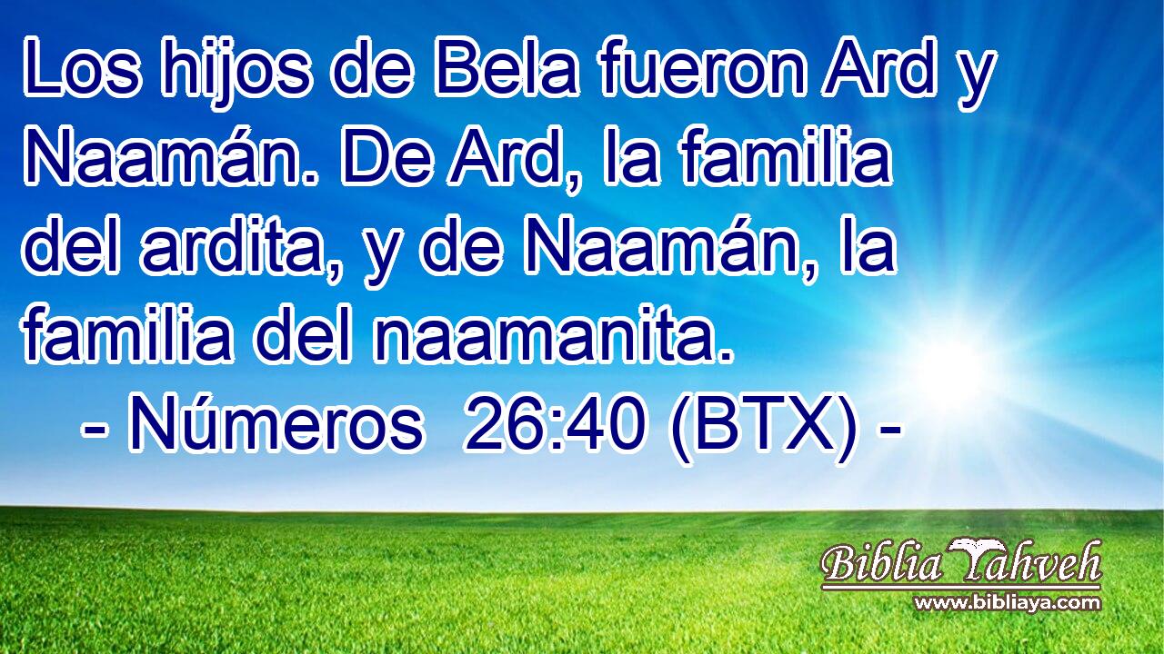 Los hijos de Bela fueron Ard y Naamán. De Ard, la familia del ardita, y de Naamán, la familia del naamanita.