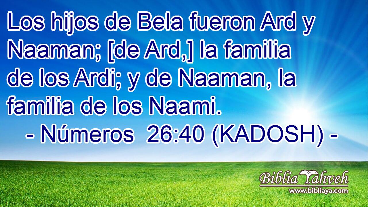  Los hijos de Bela fueron Ard y Naaman; [de Ard,] la familia de los Ardi; y de Naaman, la familia de los Naami. 