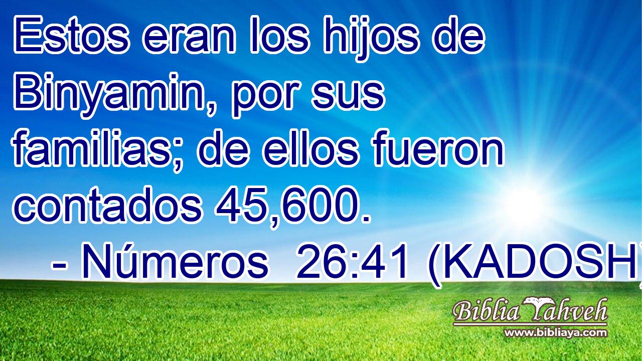  Estos eran los hijos de Binyamin, por sus familias; de ellos fueron contados 45,600. 
