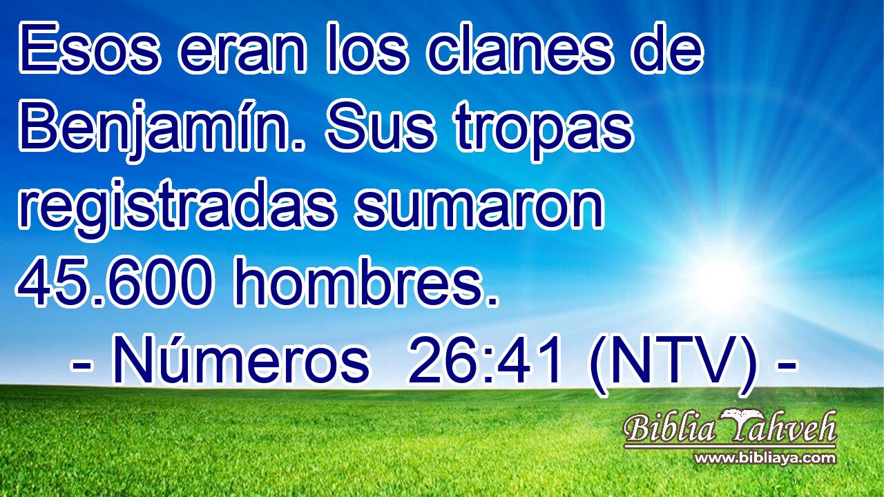 Esos eran los clanes de Benjamín. Sus tropas registradas sumaron 45.600 hombres.