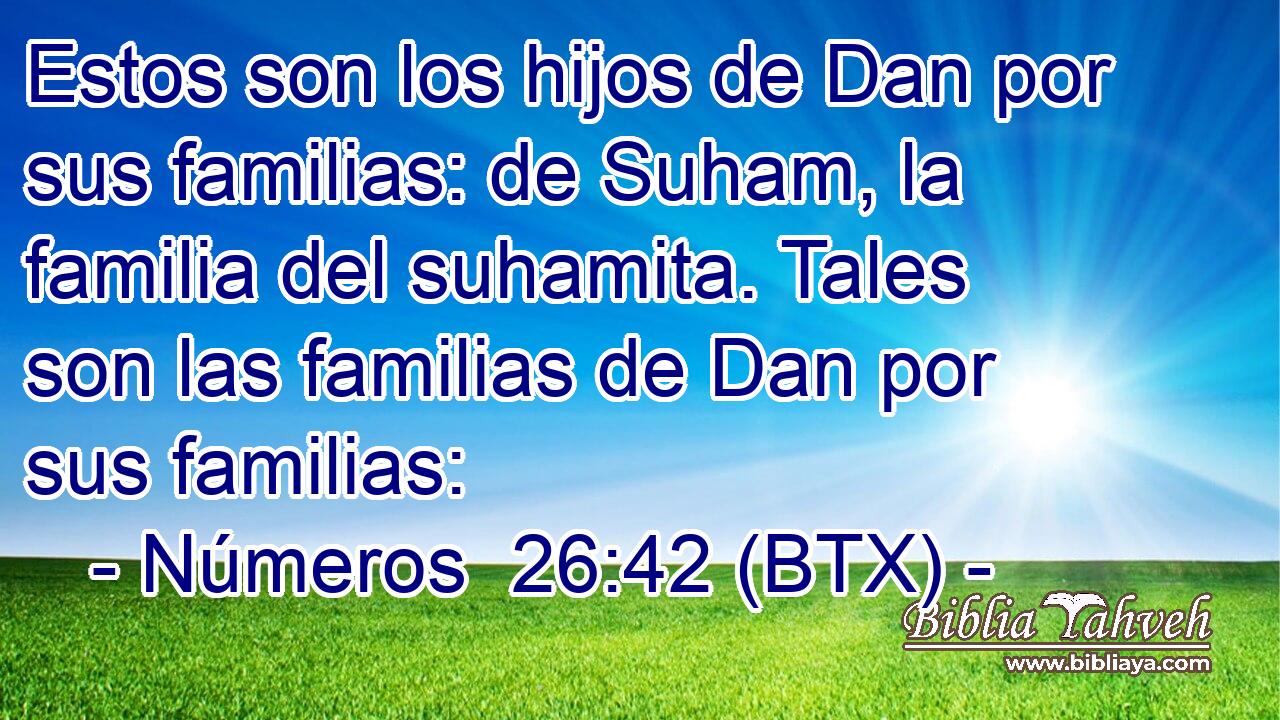 Estos son los hijos de Dan por sus familias: de Suham, la familia del suhamita. Tales son las familias de Dan por sus familias: