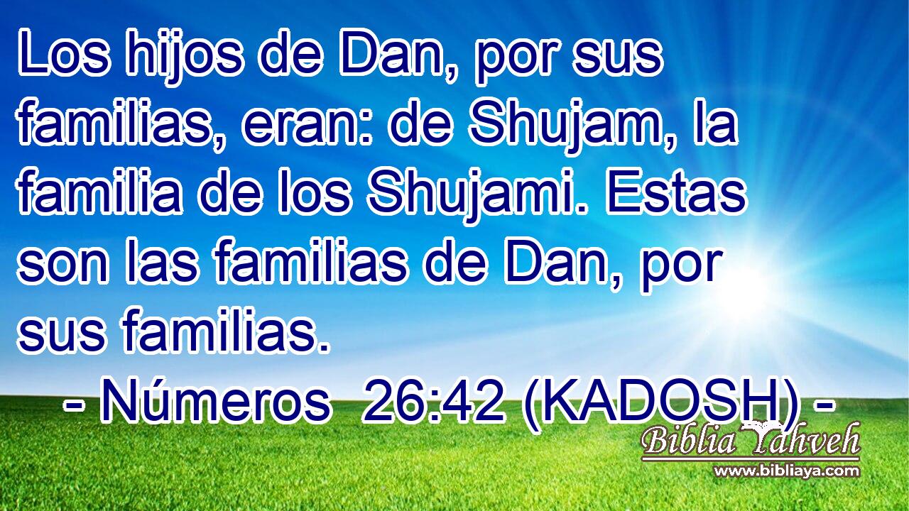  Los hijos de Dan, por sus familias, eran: de Shujam, la familia de los Shujami. Estas son las familias de Dan, por sus familias. 