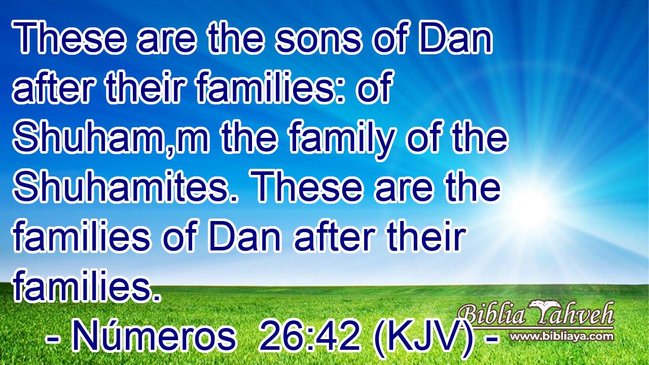 These are the sons of Dan after their families: of Shuham,m the family of the Shuhamites. These are the families of Dan after their families.