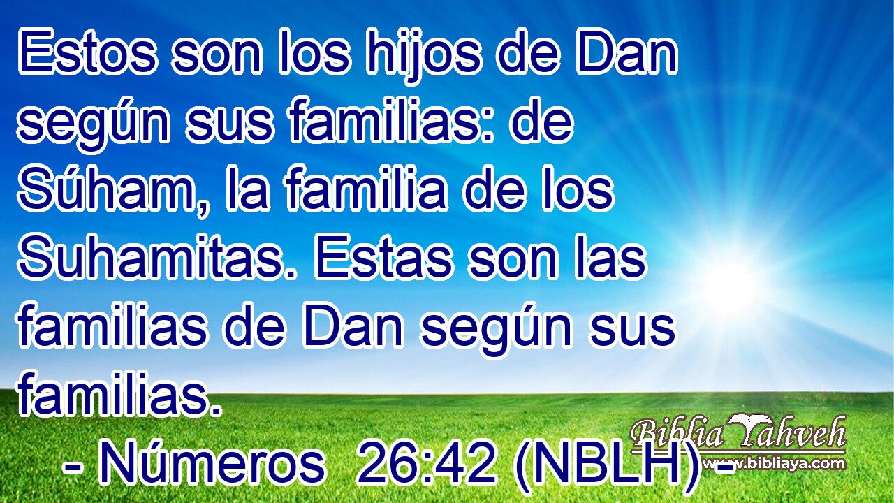  Estos son los hijos de Dan según sus familias: de Súham, la familia de los Suhamitas. Estas son las familias de Dan según sus familias. 