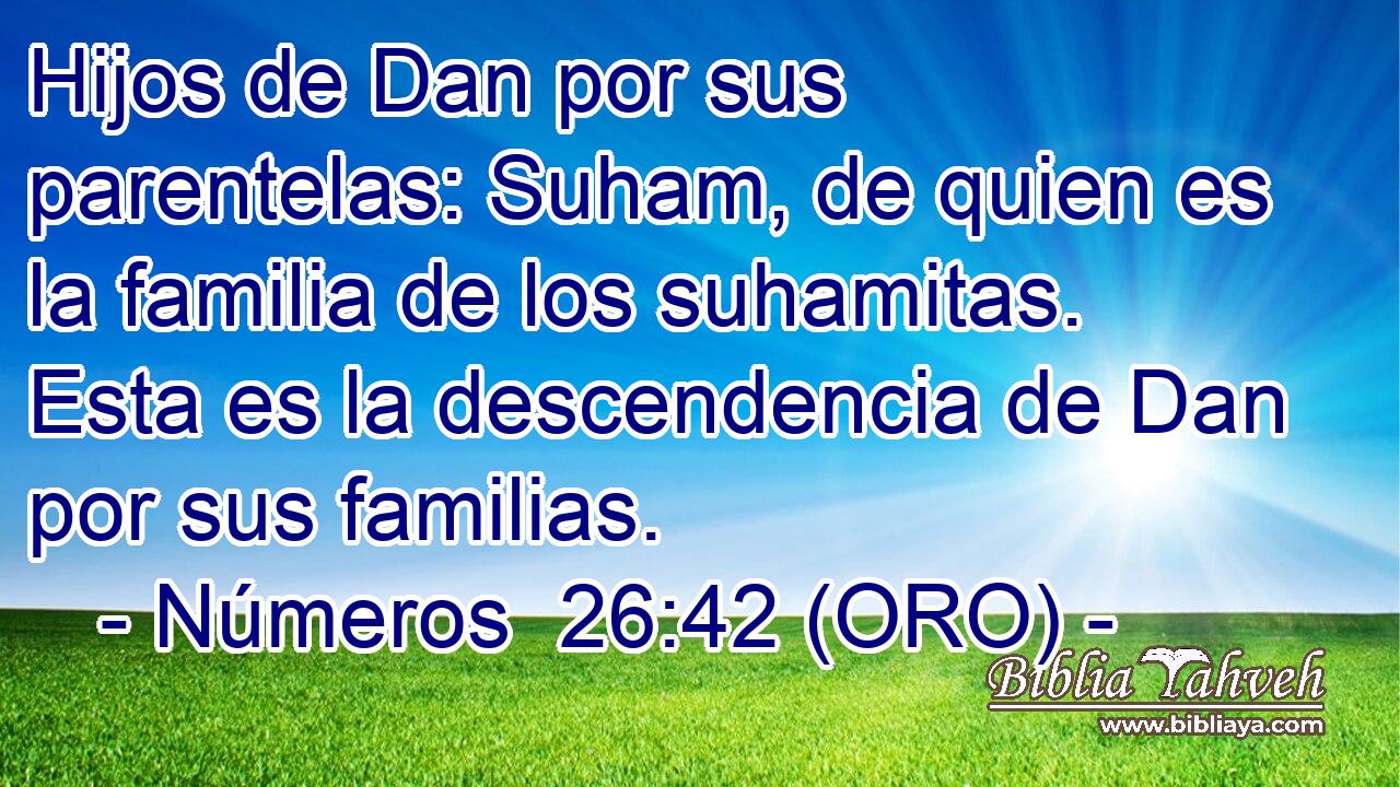  Hijos de Dan por sus parentelas: Suham, de quien es la familia de los suhamitas. Esta es la descendencia de Dan por sus familias. 