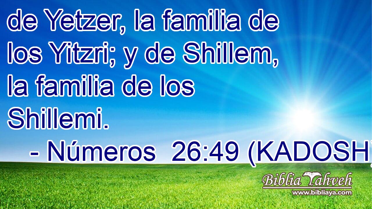  de Yetzer, la familia de los Yitzri; y de Shillem, la familia de los Shillemi. 