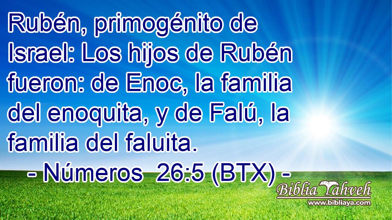 Rubén, primogénito de Israel: Los hijos de Rubén fueron: de Enoc, la familia del enoquita, y de Falú, la familia del faluita.