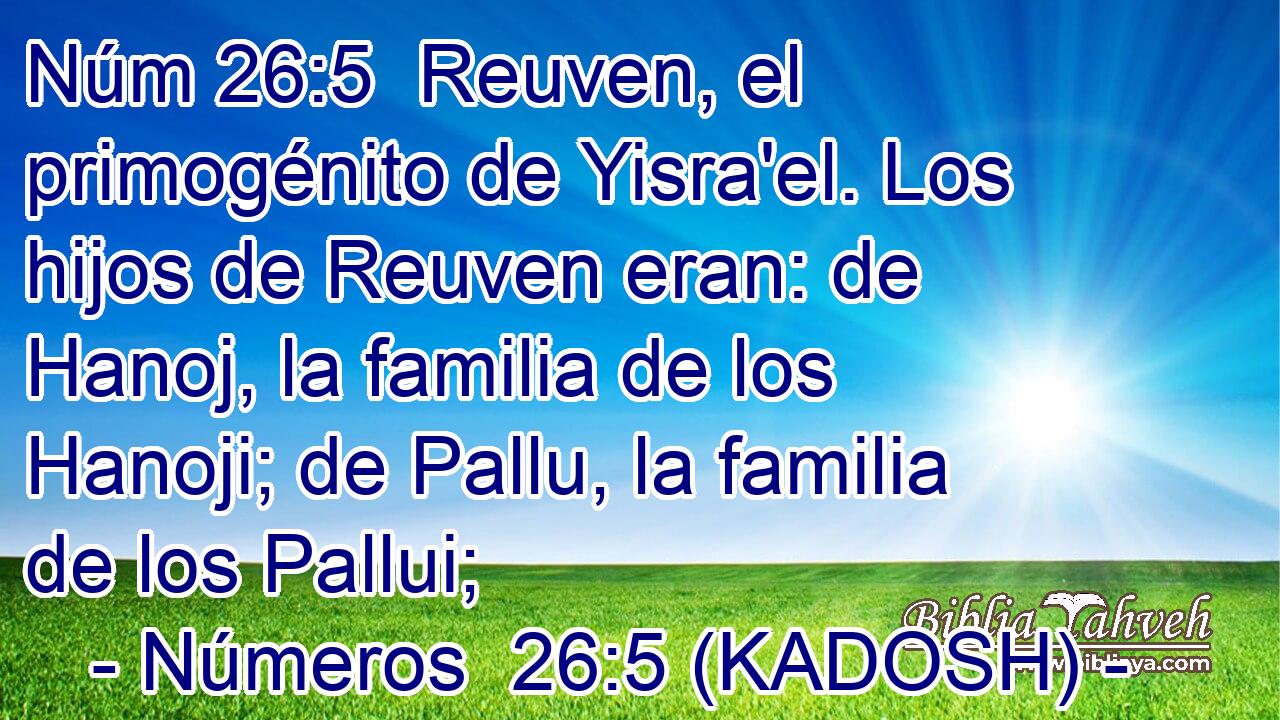  Reuven, el primogénito de Yisra'el. Los hijos de Reuven eran: de Hanoj, la familia de los Hanoji; de Pallu, la familia de los Pallui; 