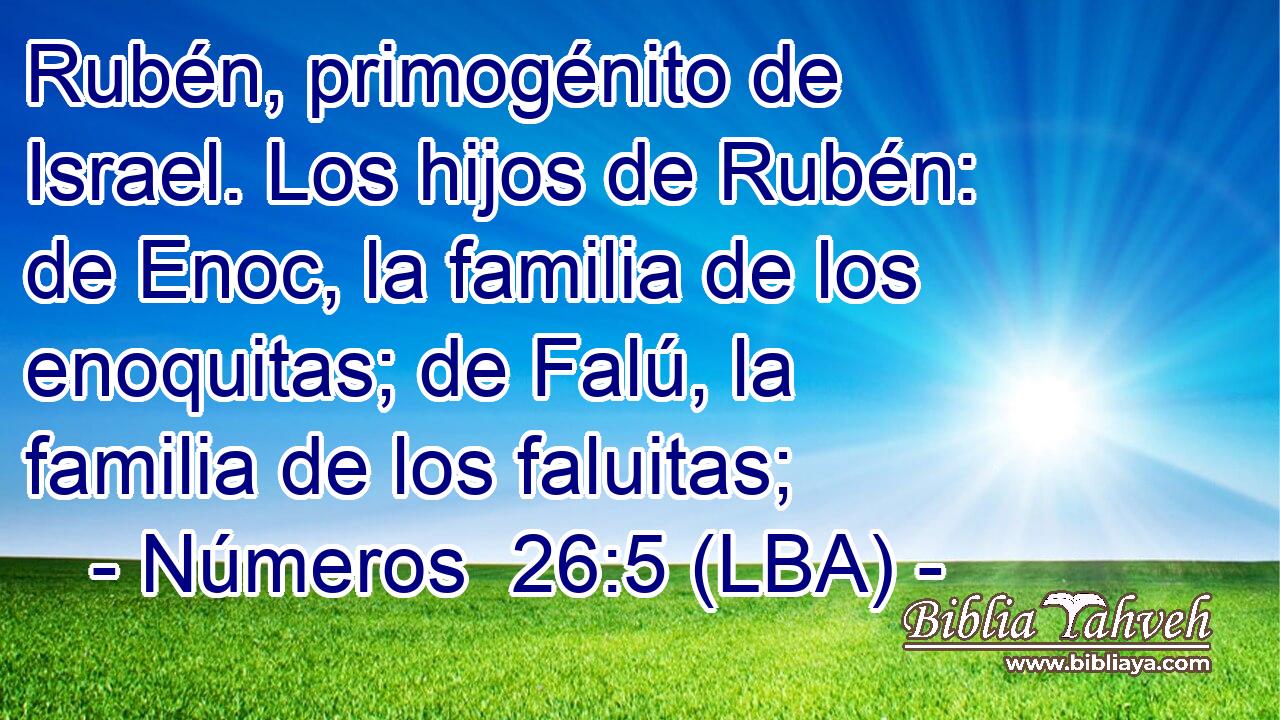 Rubén, primogénito de Israel. Los hijos de Rubén: de Enoc, la familia de los enoquitas; de Falú, la familia de los faluitas;