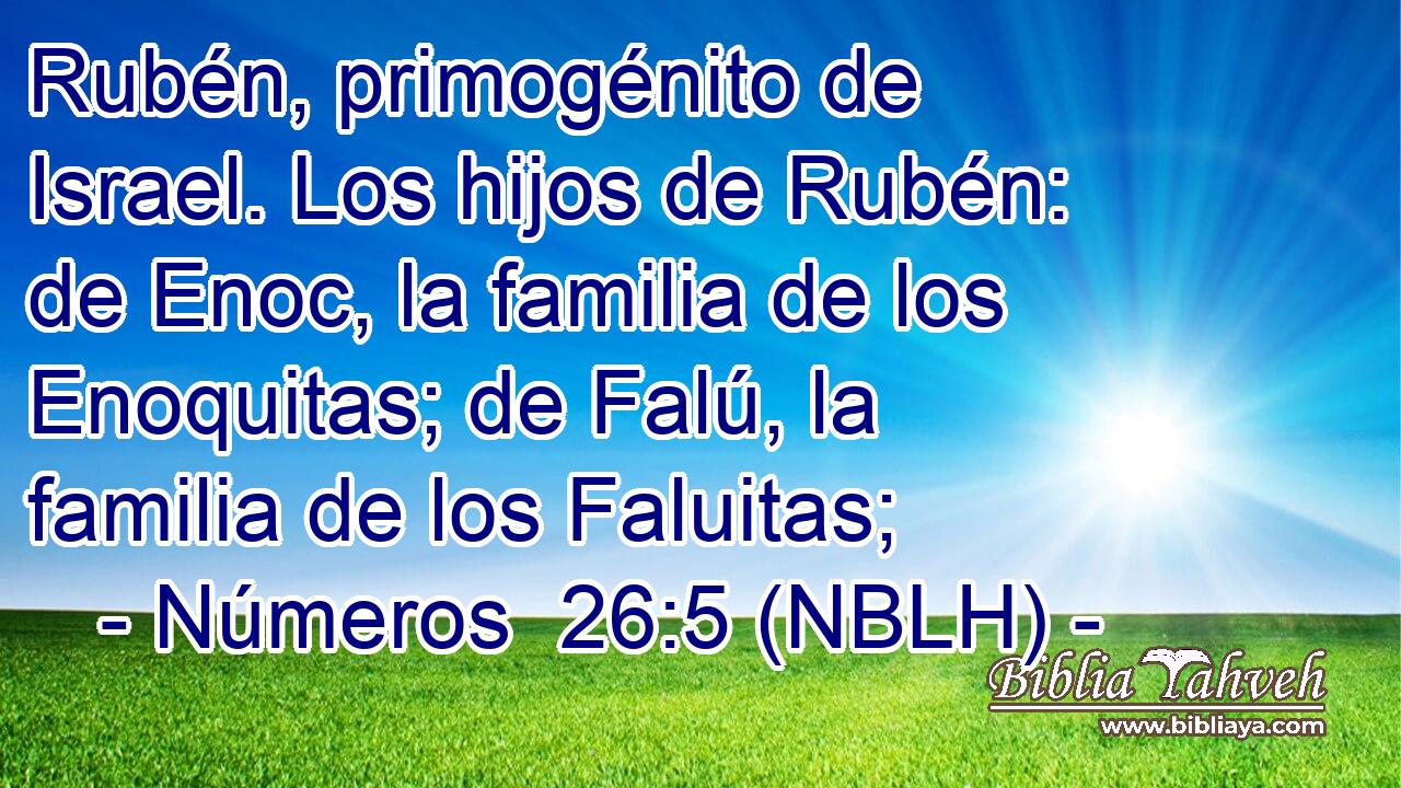 Rubén, primogénito de Israel. Los hijos de Rubén: de Enoc, la familia de los Enoquitas; de Falú, la familia de los Faluitas; 
