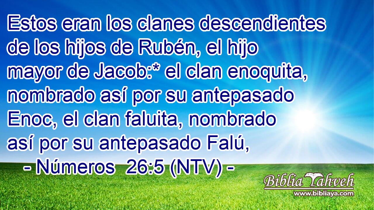 Estos eran los clanes descendientes de los hijos de Rubén, el hijo mayor de Jacob:* el clan enoquita, nombrado así por su antepasado Enoc, el clan faluita, nombrado así por su antepasado Falú,