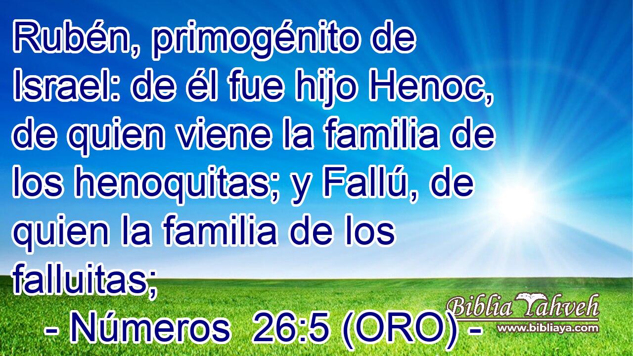  Rubén, primogénito de Israel: de él fue hijo Henoc, de quien viene la familia de los henoquitas; y Fallú, de quien la familia de los falluitas; 