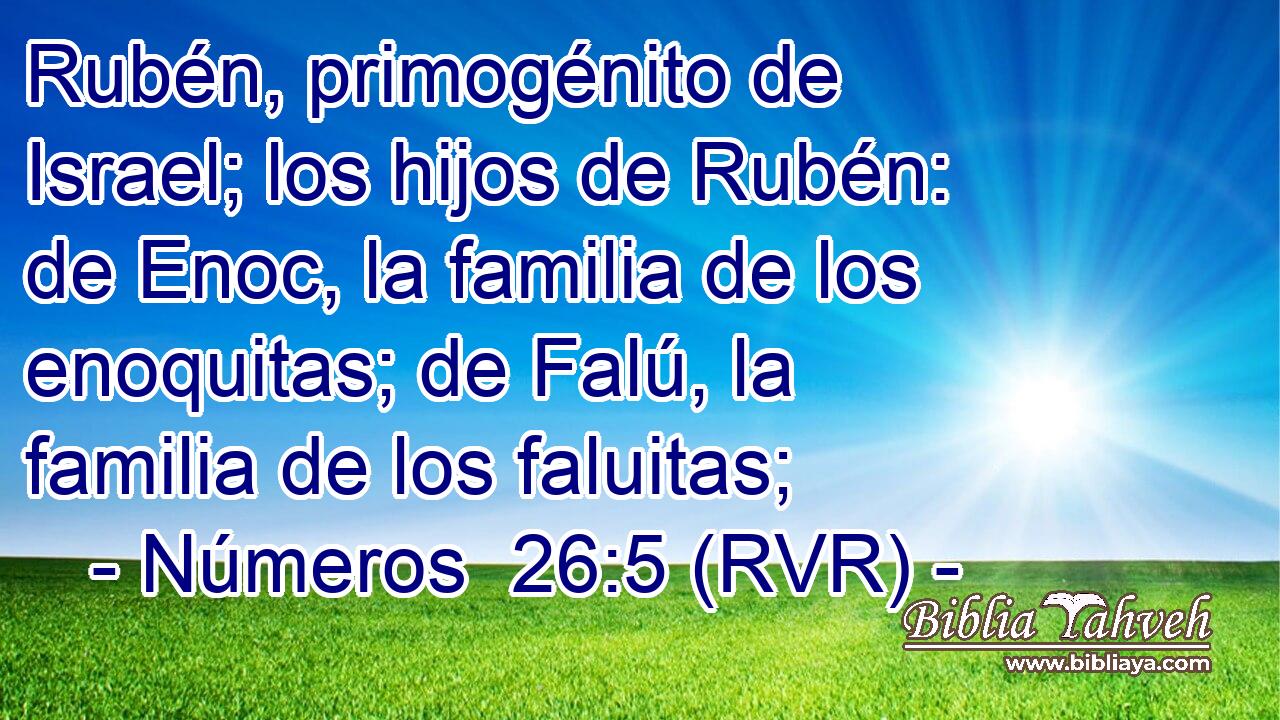 Rubén, primogénito de Israel; los hijos de Rubén: de Enoc, la familia de los enoquitas; de Falú, la familia de los faluitas;