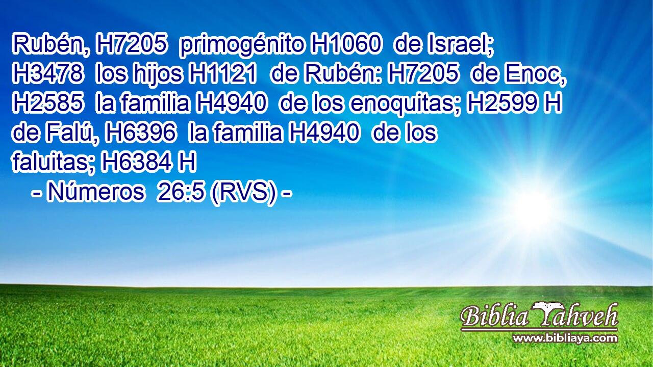 Rubén, H7205  primogénito H1060  de Israel; H3478  los hijos H1121  de Rubén: H7205  de Enoc, H2585  la familia H4940  de los enoquitas; H2599 H de Falú, H6396  la familia H4940  de los faluitas; H6384 H 