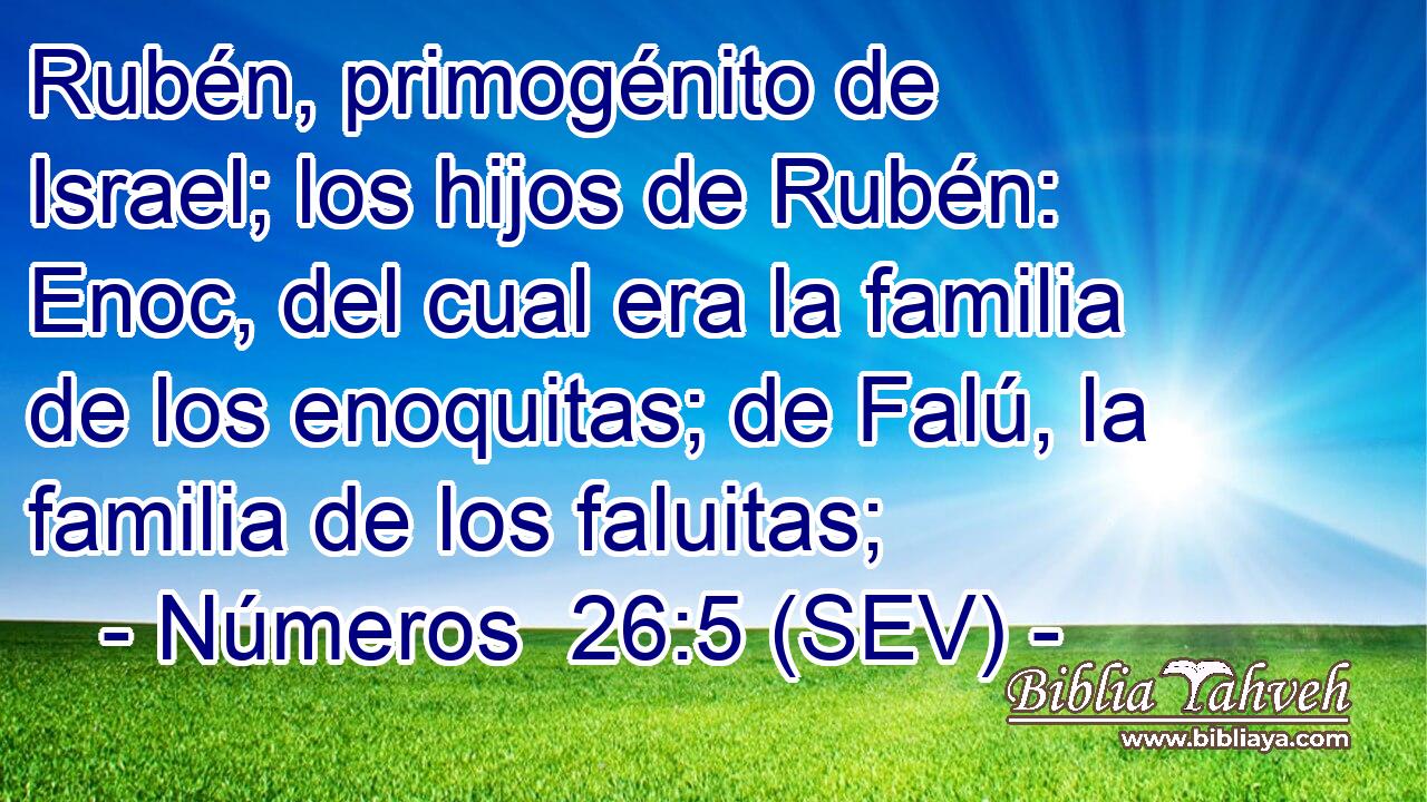 Rubén, primogénito de Israel; los hijos de Rubén: Enoc, del cual era la familia de los enoquitas; de Falú, la familia de los faluitas;