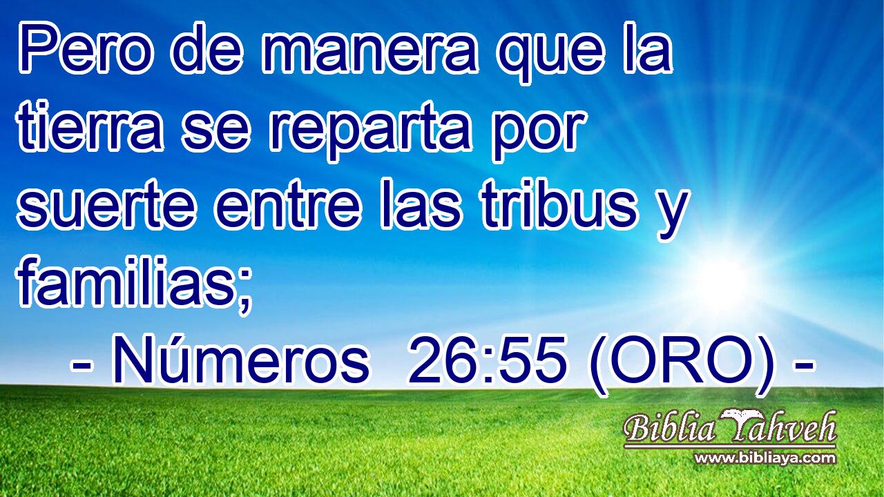  Pero de manera que la tierra se reparta por suerte entre las tribus y familias; 