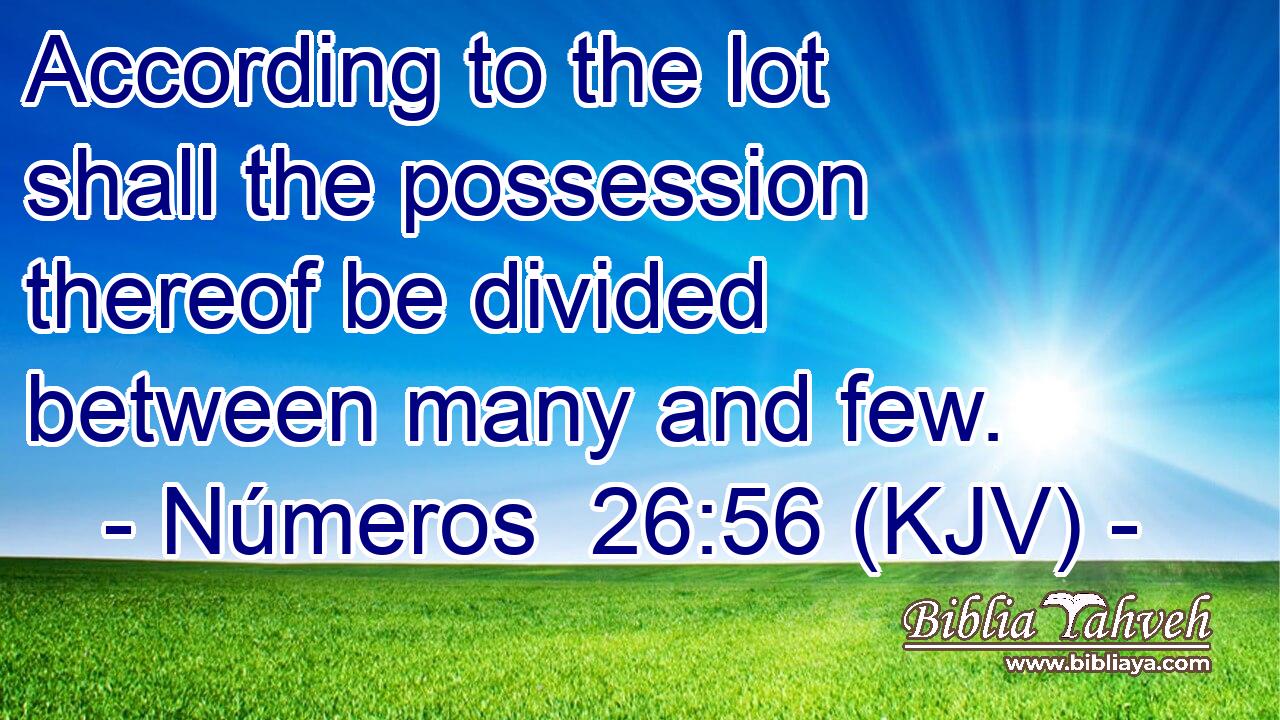 According to the lot shall the possession thereof be divided between many and few.