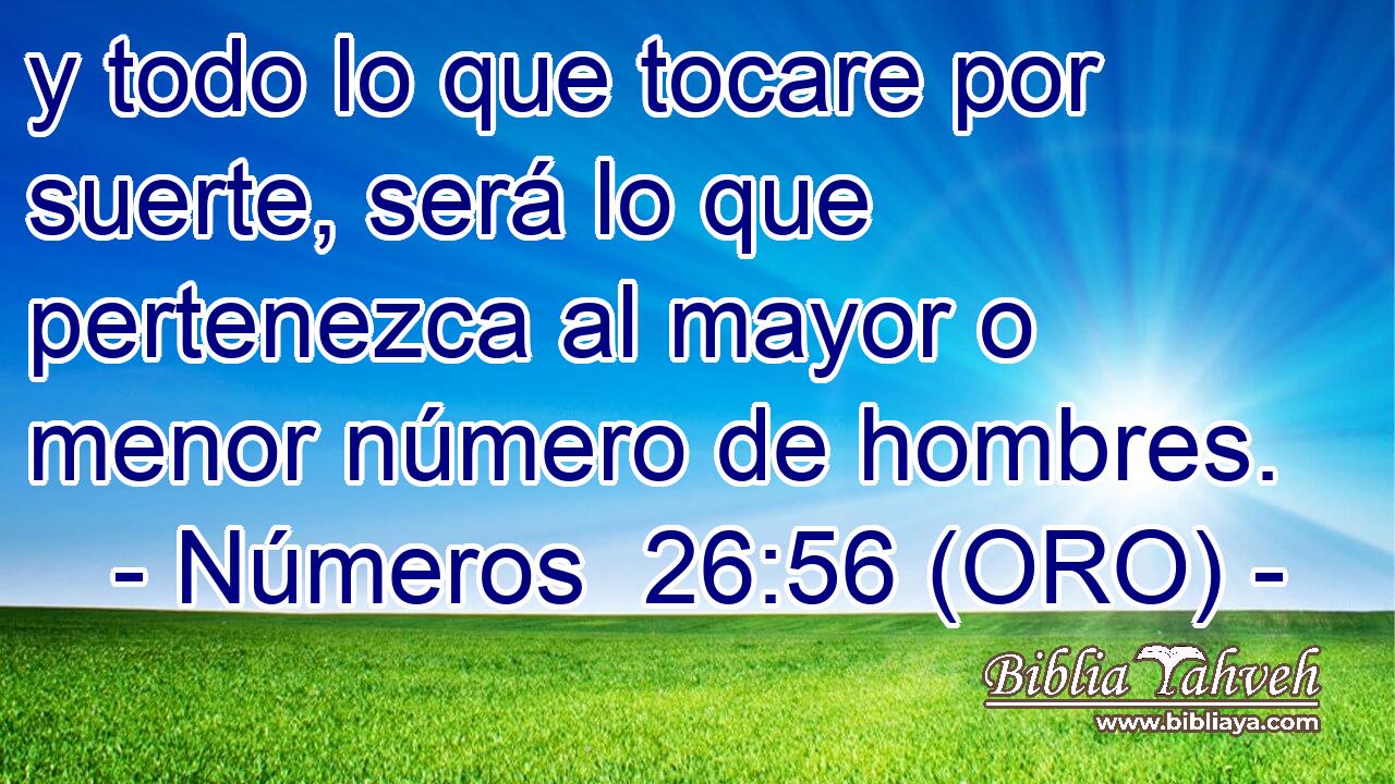  y todo lo que tocare por suerte, será lo que pertenezca al mayor o menor número de hombres. 