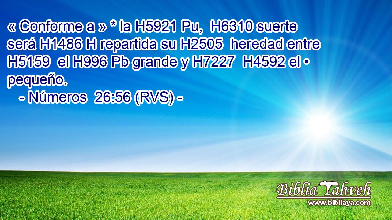 « Conforme a » * la H5921 Pu,  H6310 suerte será H1486 H repartida su H2505  heredad entre H5159  el H996 Pb grande y H7227  H4592 el • pequeño. 