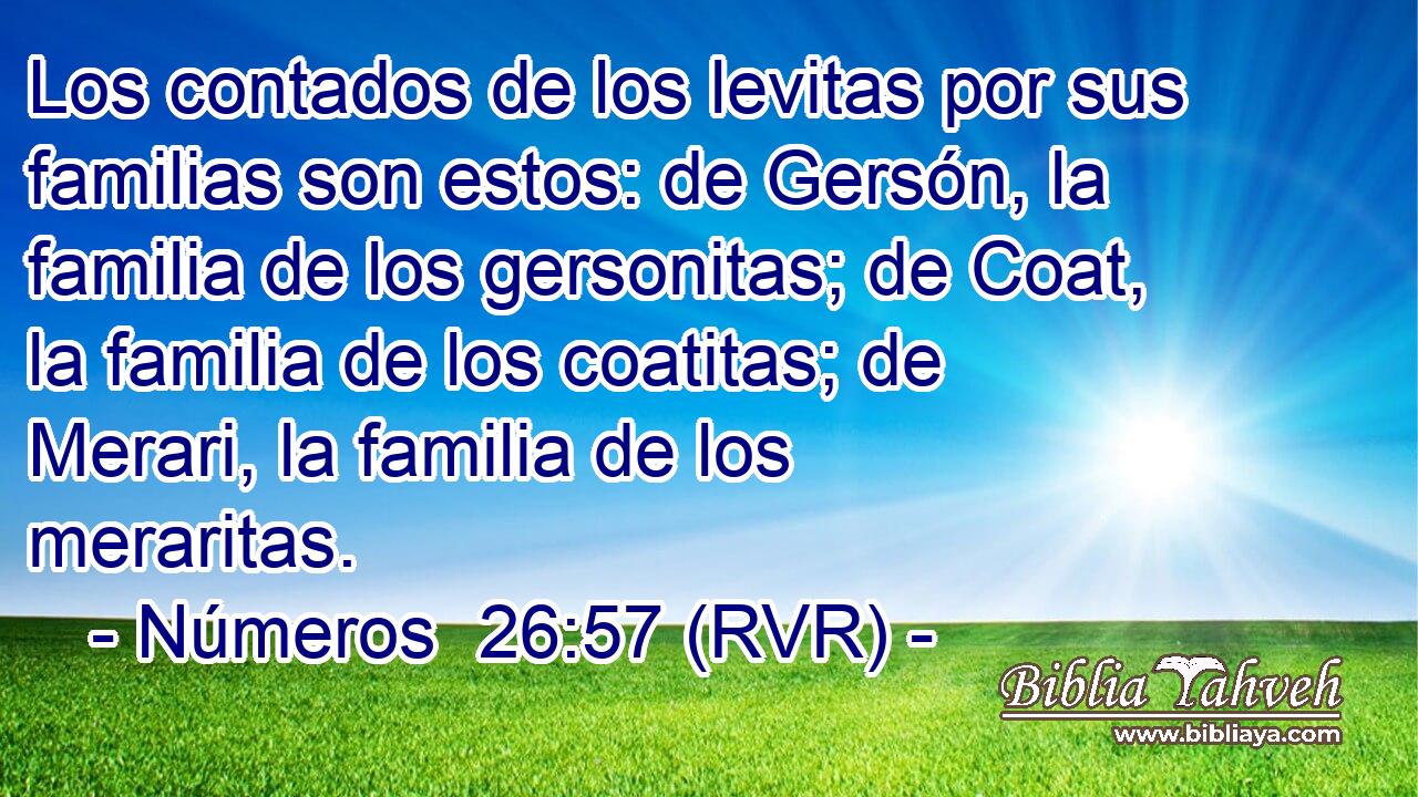 Los contados de los levitas por sus familias son estos: de Gersón, la familia de los gersonitas; de Coat, la familia de los coatitas; de Merari, la familia de los meraritas.