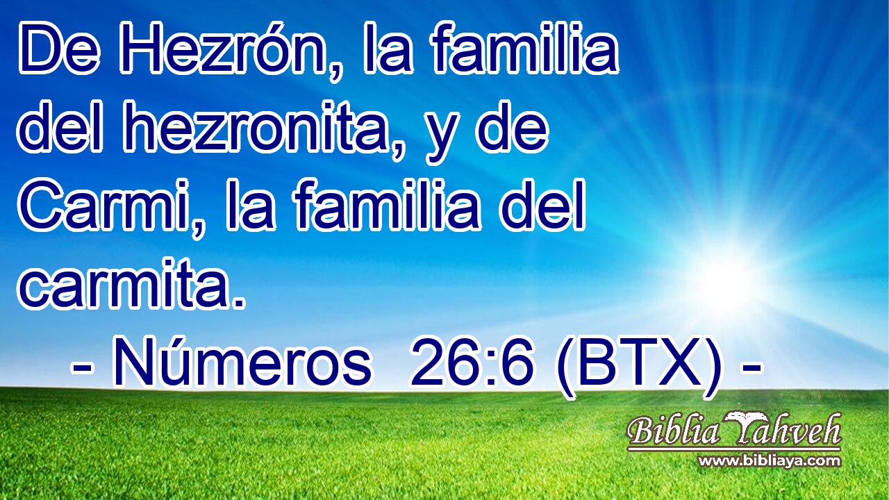 De Hezrón, la familia del hezronita, y de Carmi, la familia del carmita.