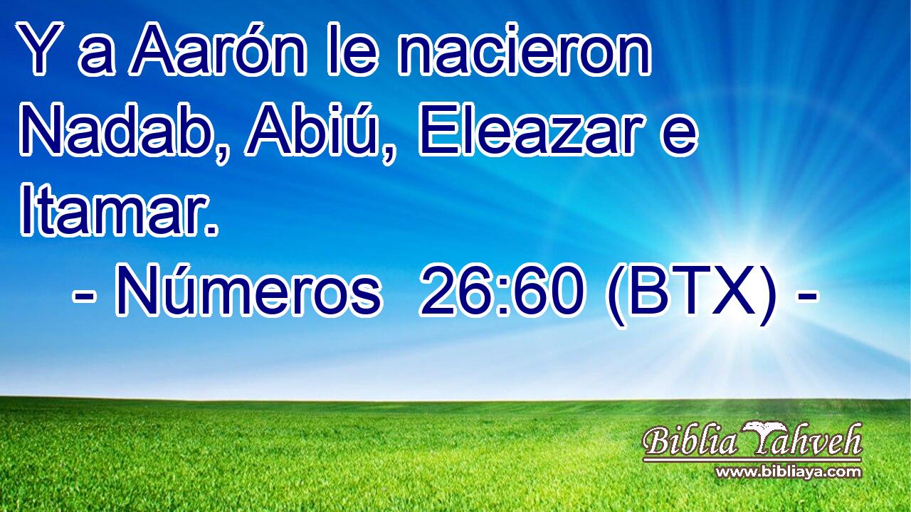 Y a Aarón le nacieron Nadab, Abiú, Eleazar e Itamar.