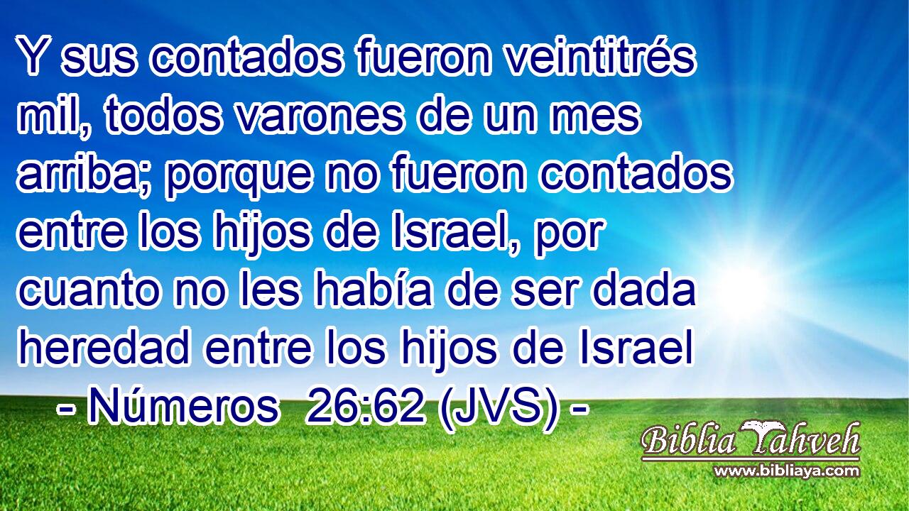 Y sus contados fueron veintitrés mil, todos varones de un mes arriba; porque no fueron contados entre los hijos de Israel, por cuanto no les había de ser dada heredad entre los hijos de Israel