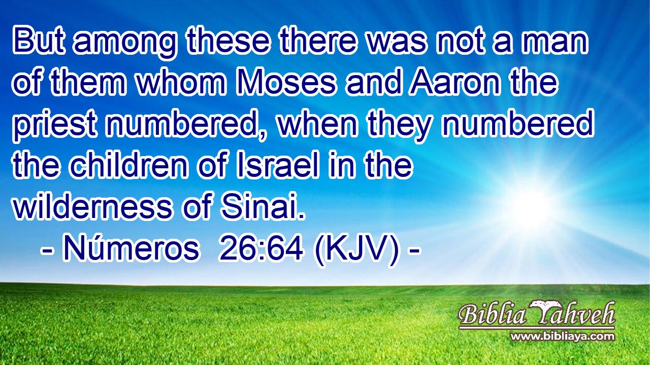 But among these there was not a man of them whom Moses and Aaron the priest numbered, when they numbered the children of Israel in the wilderness of Sinai.