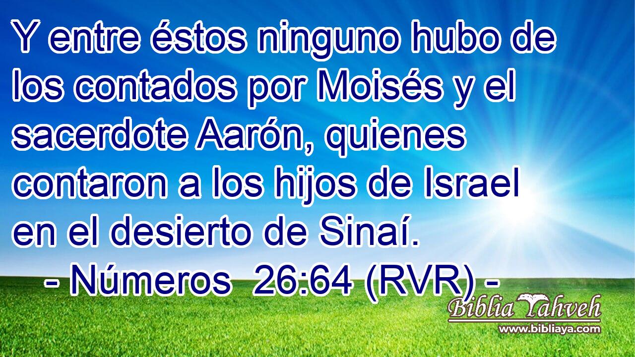 Y entre éstos ninguno hubo de los contados por Moisés y el sacerdote Aarón, quienes contaron a los hijos de Israel en el desierto de Sinaí.