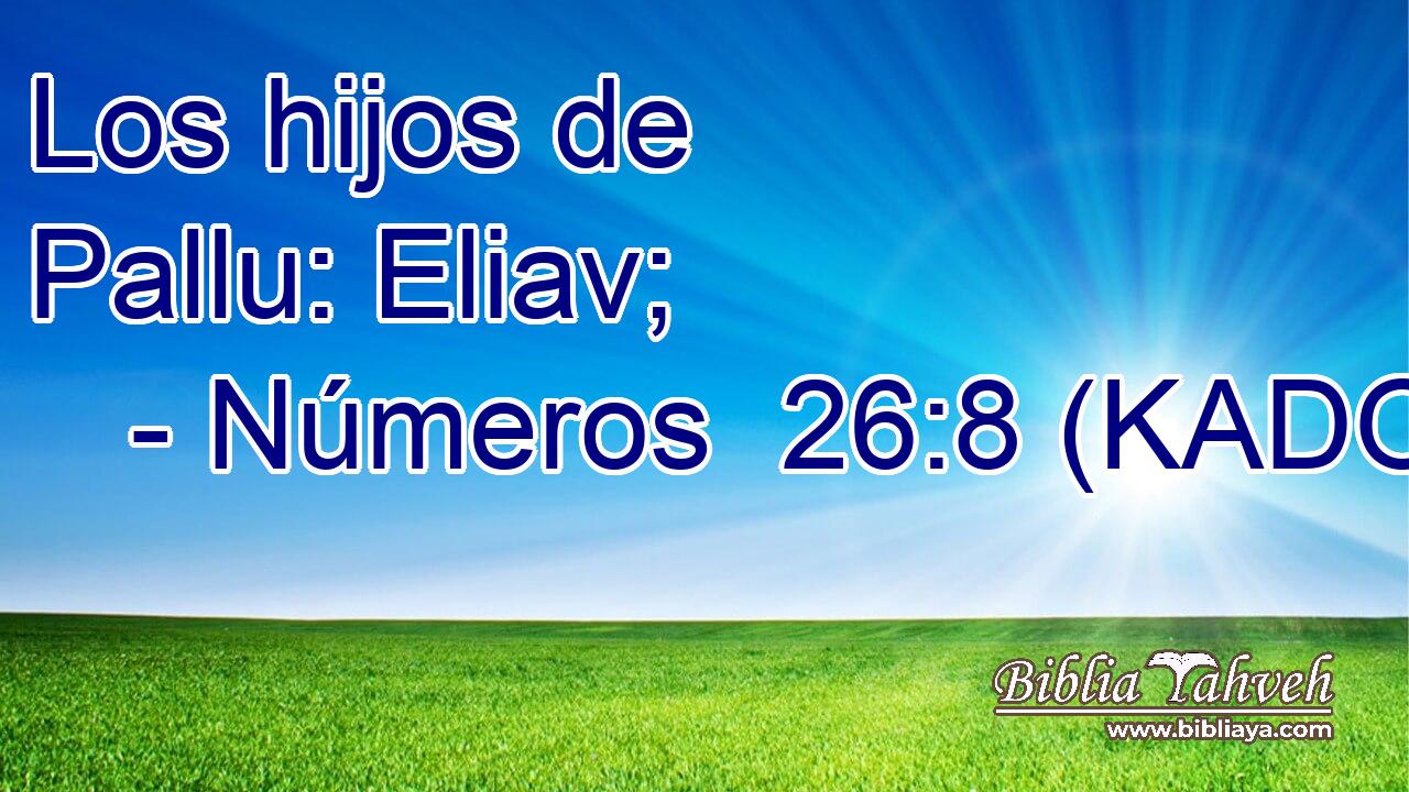  Los hijos de Pallu: Eliav; 