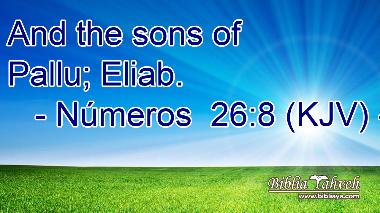 And the sons of Pallu; Eliab.