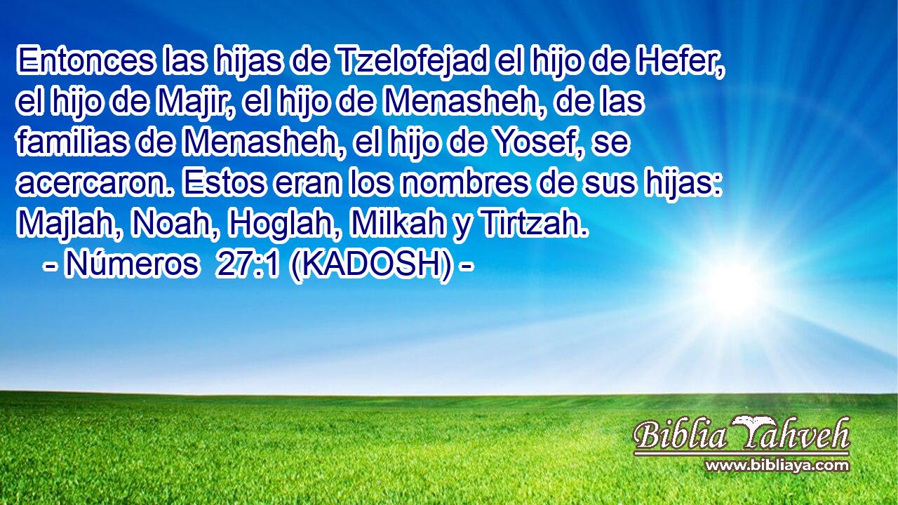  Entonces las hijas de Tzelofejad el hijo de Hefer, el hijo de Majir, el hijo de Menasheh, de las familias de Menasheh, el hijo de Yosef, se acercaron. Estos eran los nombres de sus hijas: Majlah, Noah, Hoglah, Milkah y Tirtzah. 