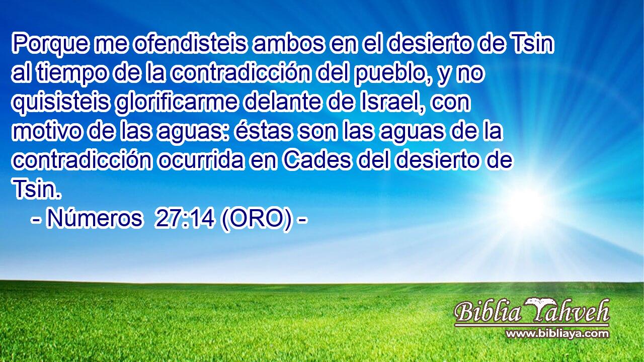  Porque me ofendisteis ambos en el desierto de Tsin al tiempo de la contradicción del pueblo, y no quisisteis glorificarme delante de Israel, con motivo de las aguas: éstas son las aguas de la contradicción ocurrida en Cades del desierto de Tsin. 