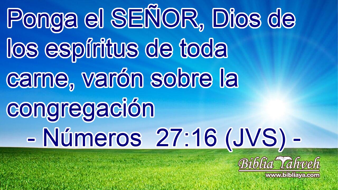 Ponga el SEÑOR, Dios de los espíritus de toda carne, varón sobre la congregación