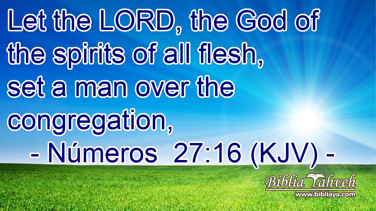 Let the LORD, the God of the spirits of all flesh, set a man over the congregation,
